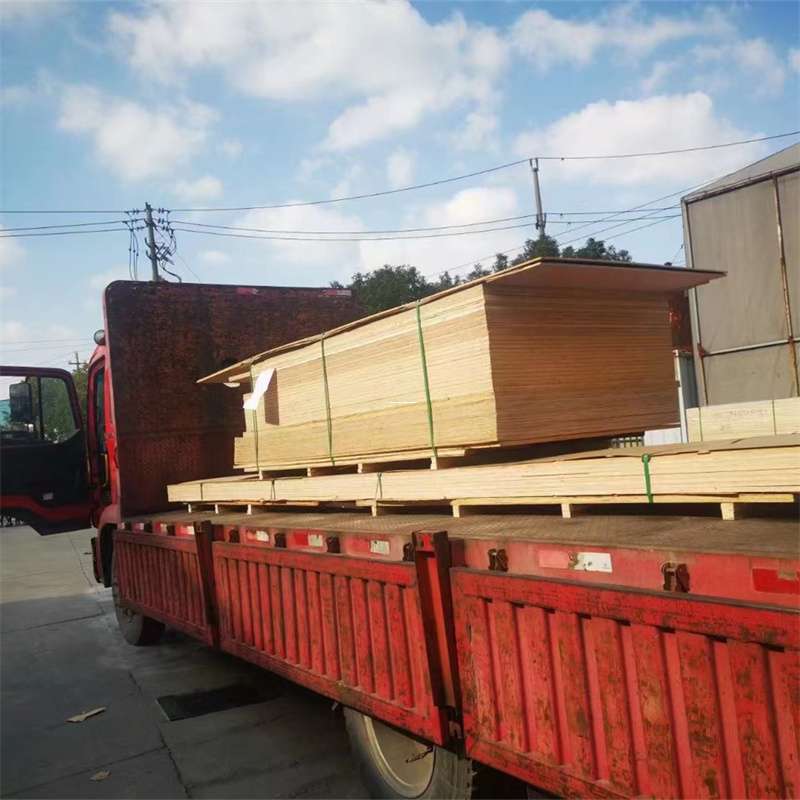 朝阳到河北物流公司——一站式服务，让货运更便捷